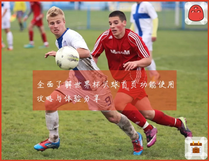 全面了解世界杯买球首页功能使用攻略与体验分享