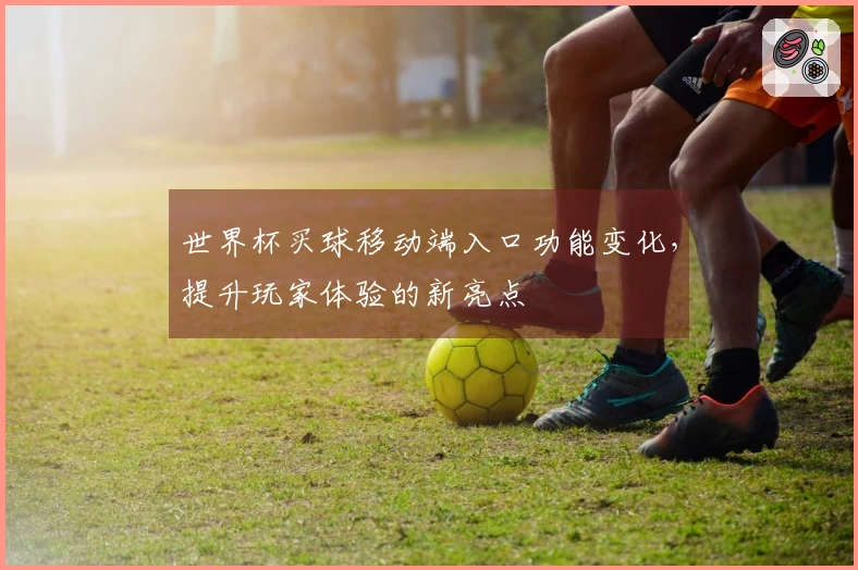 世界杯买球移动端入口功能变化，提升玩家体验的新亮点