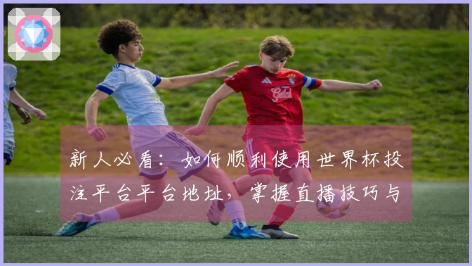 新人必看：如何顺利使用世界杯投注平台平台地址，掌握直播技巧与功能介绍