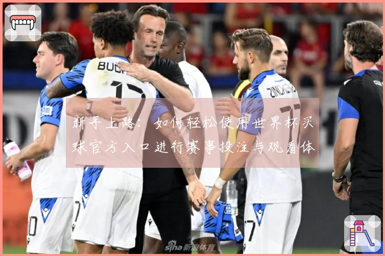 新手上路：如何轻松使用世界杯买球官方入口进行赛事投注与观看体验