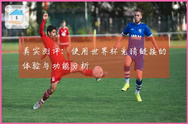 真实测评：使用世界杯竞猜链接的体验与功能分析